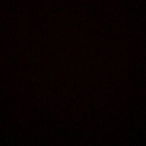 Meet your Posher, Paul